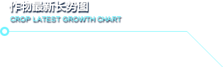 作物最新长势图